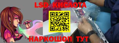 прущие грибы Канаш