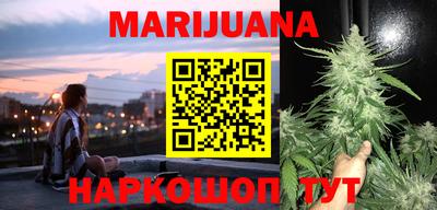прущие грибы Канаш