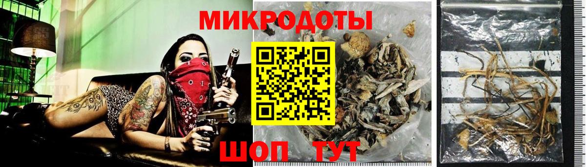 Кондопога  Псилоцибиновые грибы ЛСД  Вход с VPN 