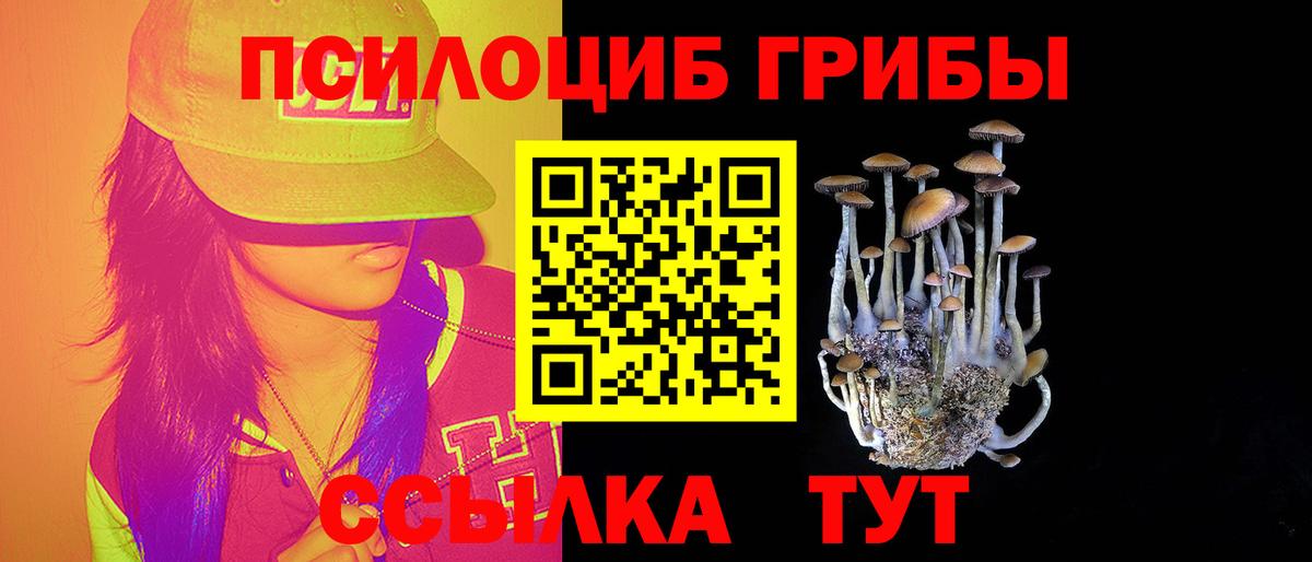 Псилоцибиновые грибы мицелий Кондопога